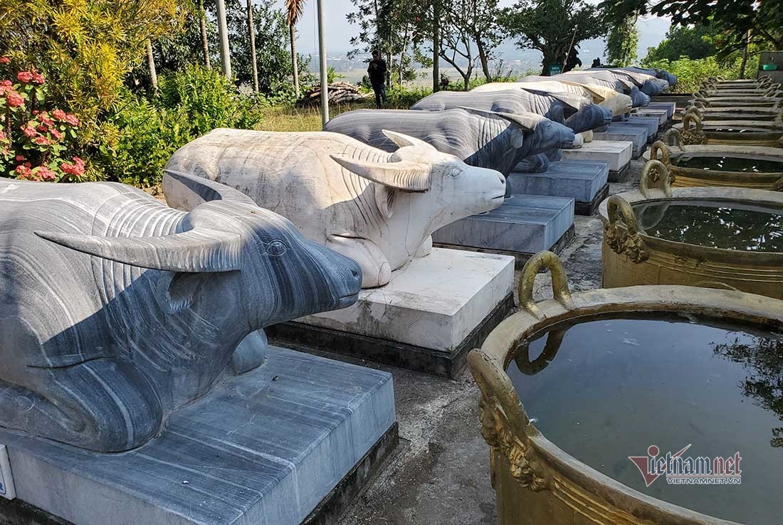 Ngôi đền Chín Gian có 9 trâu quỳ gối độc đáo bậc nhất xứ Nghệ