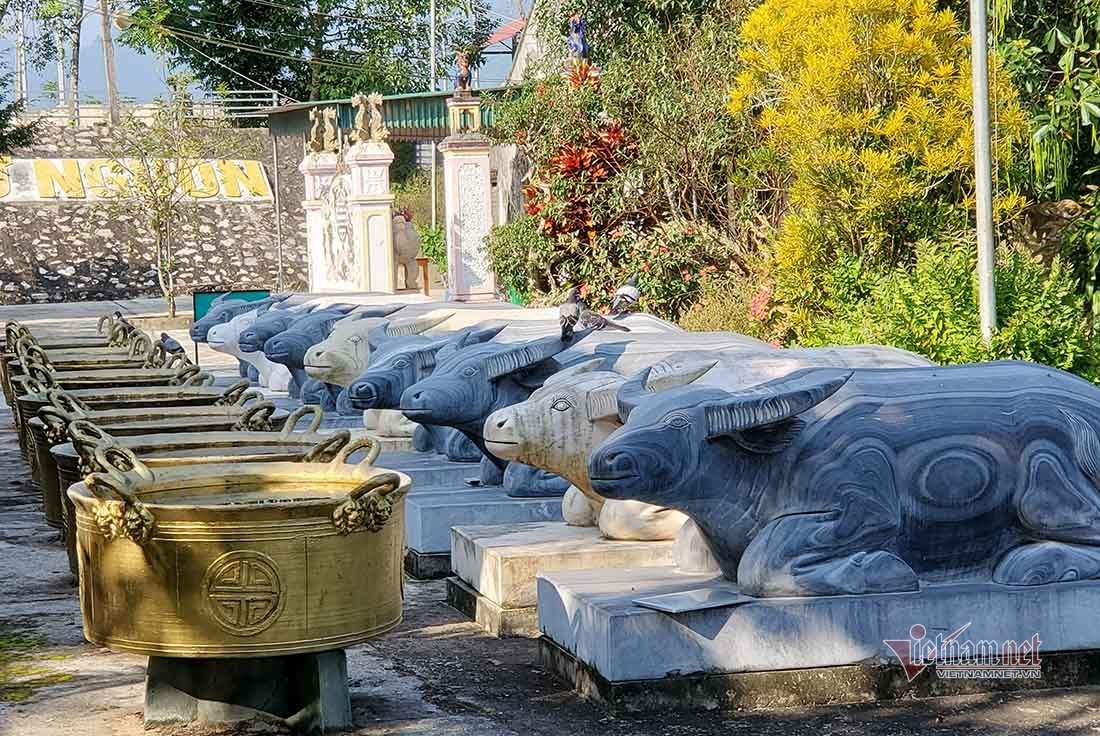 Ngôi đền Chín Gian có 9 trâu quỳ gối độc đáo bậc nhất xứ Nghệ