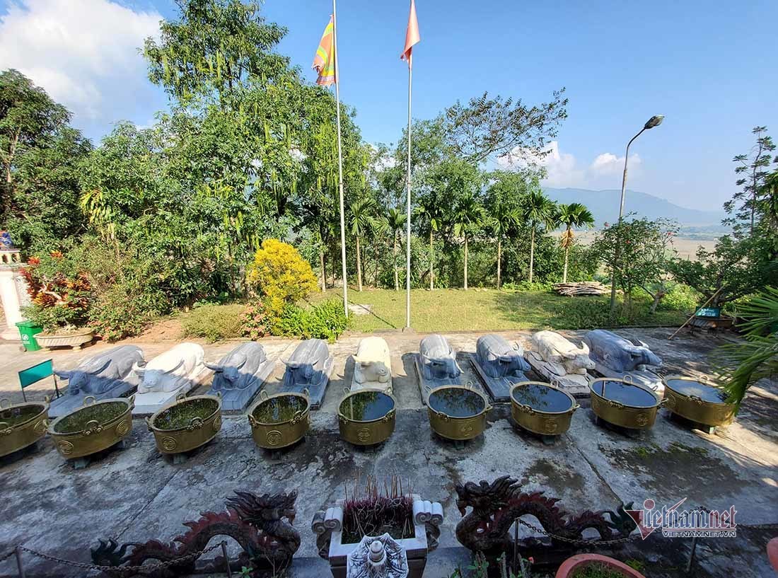 Ngôi đền Chín Gian có 9 trâu quỳ gối độc đáo bậc nhất xứ Nghệ