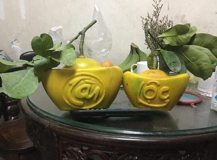 Cúng Tết bưởi tài lộc thỏi vàng 1 triệu/cặp: Dân Thủ đô cầu phú quý