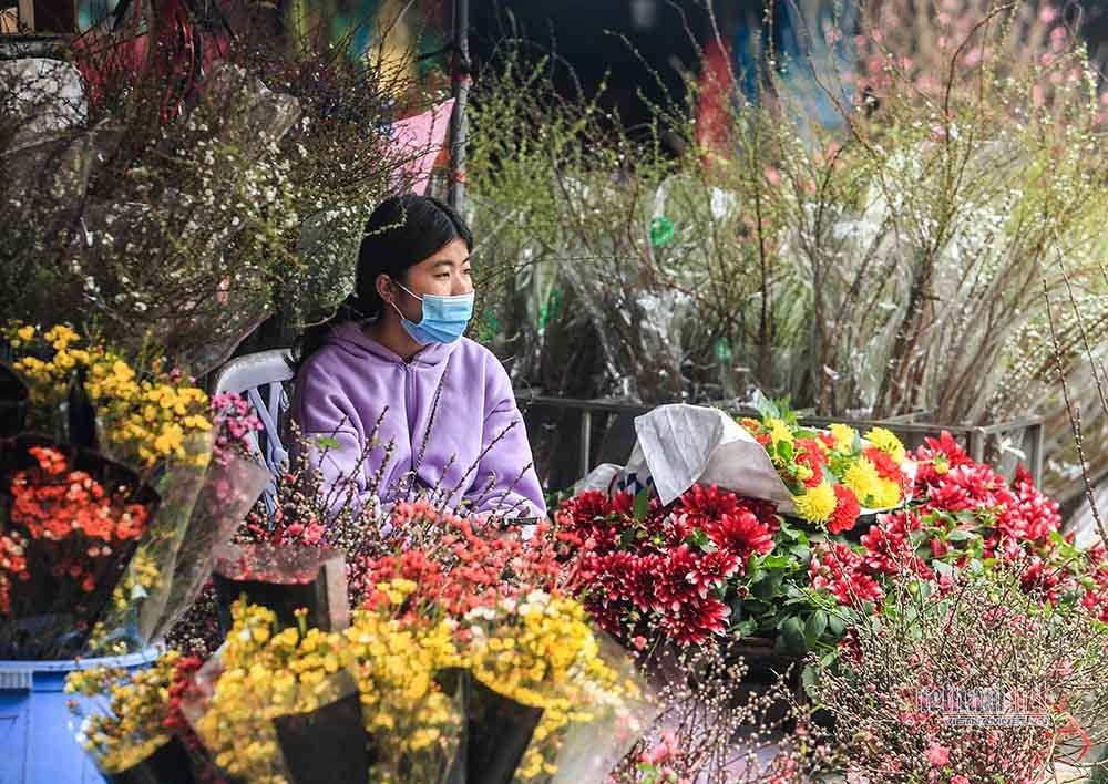 Tai họa ngày cận Tết, cả làng hoa Hà Nội 'ngồi trên đống lửa'