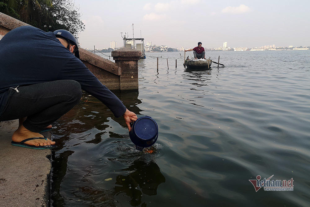 Cá phóng sinh 23 tháng Chạp, bơi chưa kịp đã vướng lưới ngư phủ