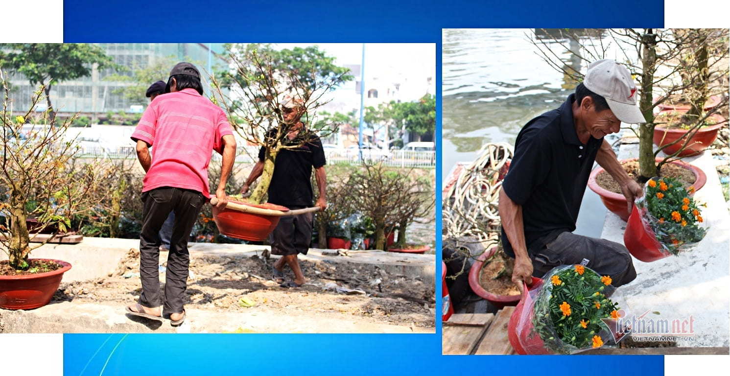 'Mẹ chồng quốc dân' của màn ảnh Nhật qua đời vì ung thư