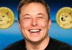 'Hiệu ứng Elon Musk' phơi bày rủi ro của Bitcoin