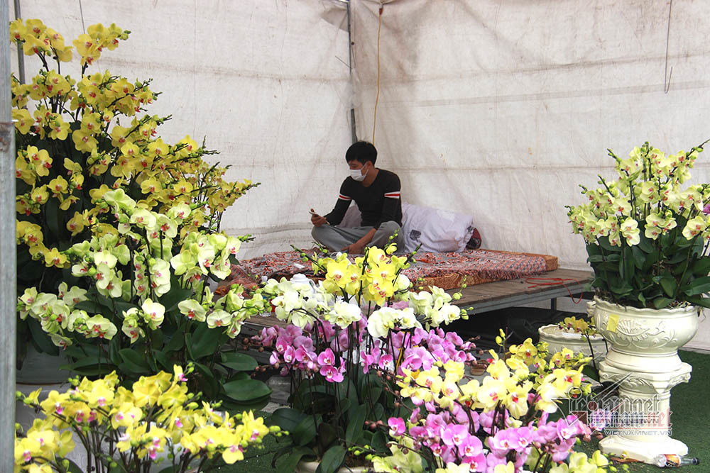 Bên trong TP Chí Linh sau 10 ngày phong toả dịp cận Tết