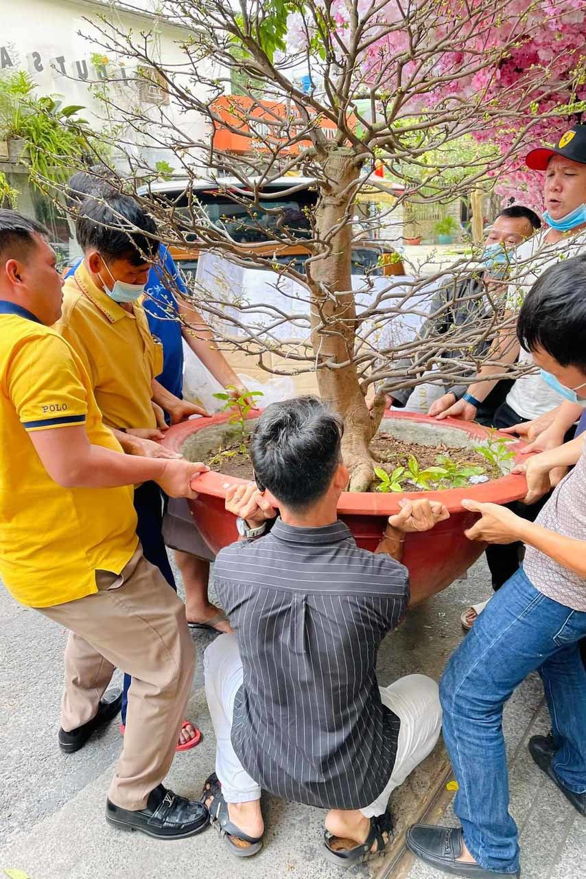 Mr. Đàm, Ngọc Trinh cùng nhiều sao Việt trang hoàng nhà đón Tết