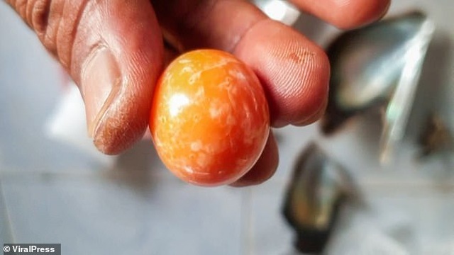 Ngư dân 'đổi đời' nhờ nhặt được viên ngọc trai quý giá hơn 7,9 tỷ đồng
