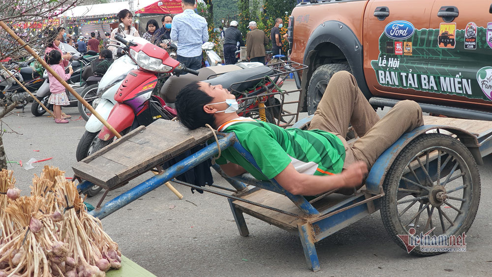 Chợ chiều 27 Tết: Đào bung, quất héo khắp nơi báo ế