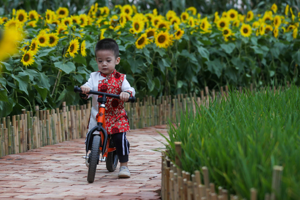 Khai mạc kỳ thi nâng ngạch công chức