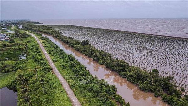 Measures needed to make Mekong Delta adaptive to climate change