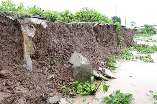 Bac Lieu to build more erosion-prevention projects