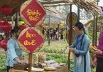 Old Tet market recreated in Hoi An