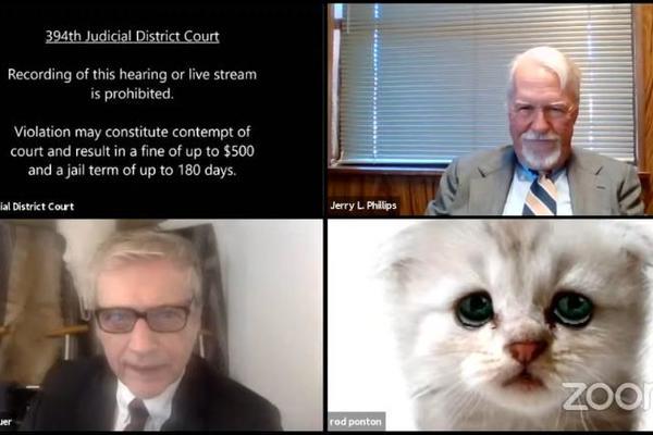 Luật sư tự 'biến mình' thành mèo trong buổi điều trần trực tuyến