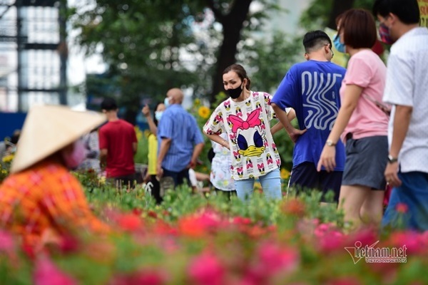 TP.HCM kêu gọi người dân ‘giải cứu’ hoa tươi Đà Lạt