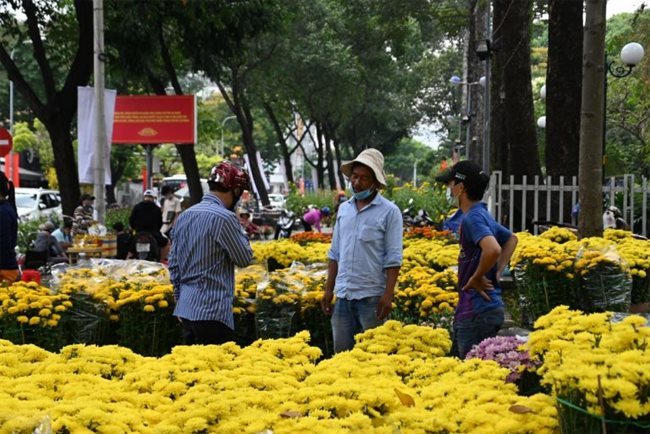 Many beautiful flowers available for decoration during Tet