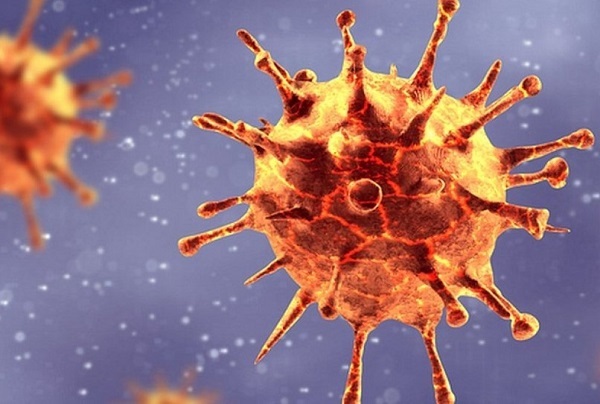 Bốn biến chủng SARS-CoV-2 đã xuất hiện tại Việt Nam