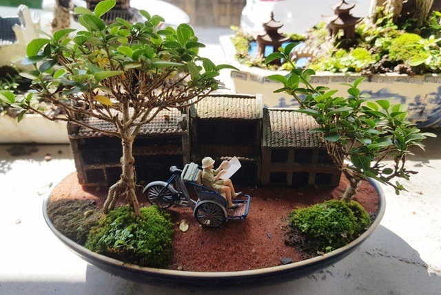 Bộ sưu tập bonsai, tiểu cảnh mini ở Nha Trang