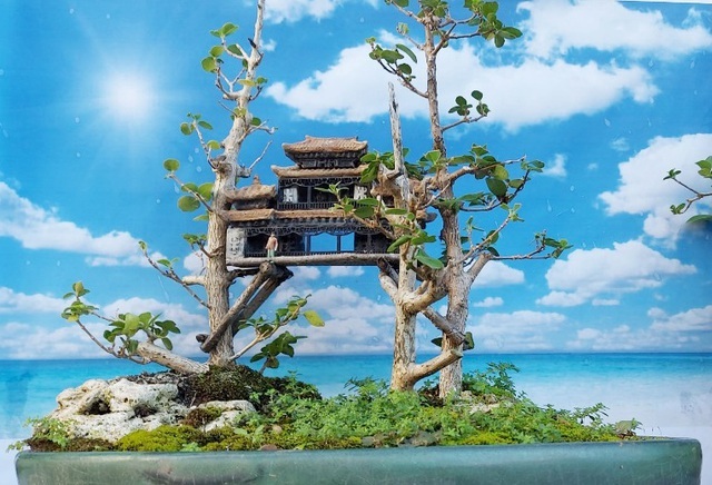 Người đàn ông Nha Trang sở hữu hàng nghìn bonsai, tiểu cảnh mini