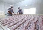 Seafood industry expects to remain on growth path in 2021