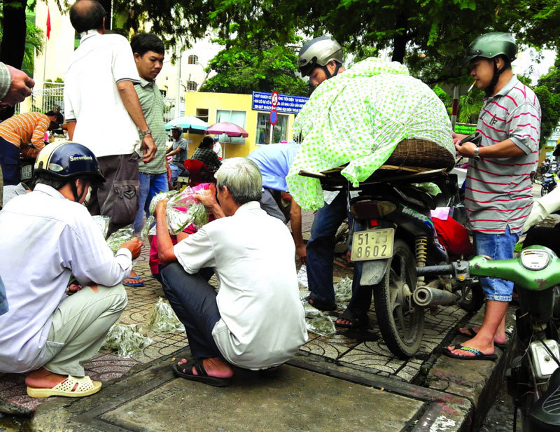 Chợ 'độc' giữa Sài Gòn