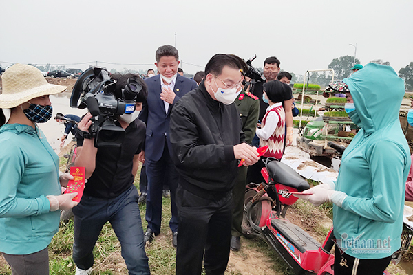 Bí thư, Chủ tịch Hà Nội xuống đồng đi cấy cùng nông dân
