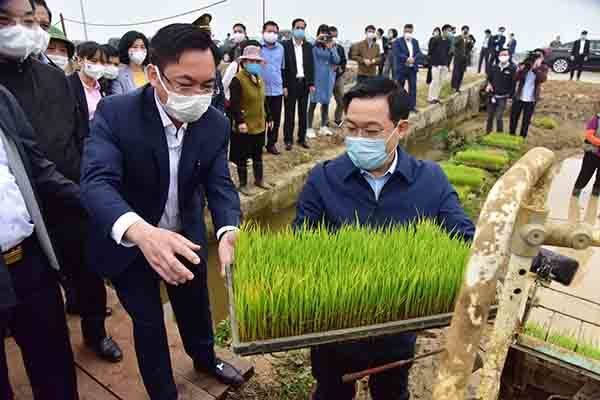 Hanoi’s Party Chief, Chairman join local farmers on their fields