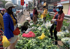 Hàng trăm tấn rau Hải Dương về Hà Nội: Vài nghìn/kg, gọi nhau giải cứu