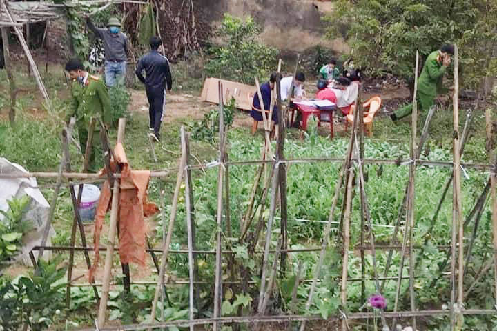 Bắc Giang: Một gia đình trồng gần 3.000 cây cần sa trong vườn