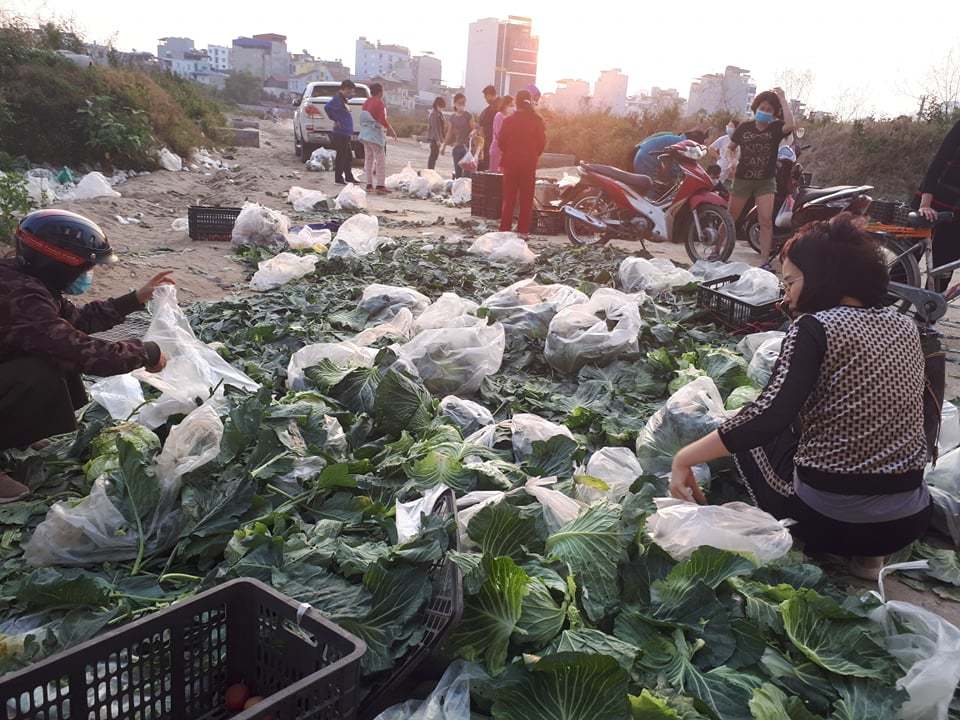 Nông sản Hải Dương ách tắc, Bộ khẩn cấp ra biện pháp tháo gỡ