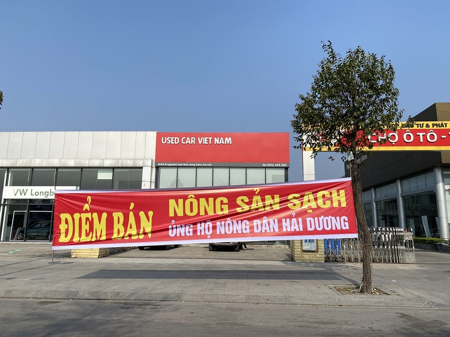 Điểm tiêu thụ nông sản Hải Dương tại showroom ô tô của anh Tâm.