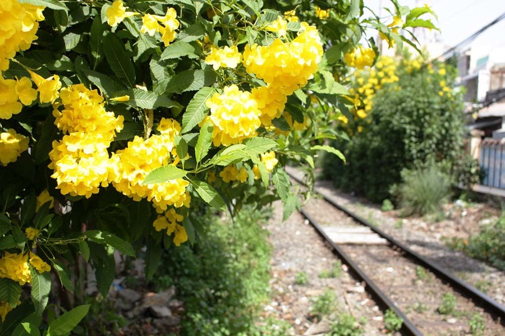 Con trai tôi 35 tuổi không chịu đi làm, xin tiền mẹ sống qua ngày