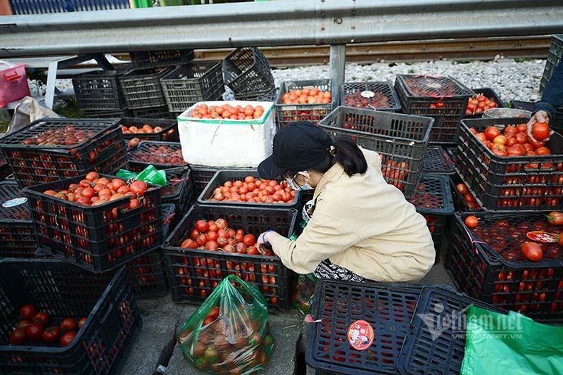 Bà nội trợ kêu trời với quả cà chua, đại gia đau đầu vì cọng hành