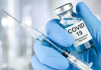 Đức góp tài chính lớn cho chương trình vắc-xin toàn cầu Covax