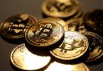 Cơn biến động từ đáy sâu, bitcoin bật tăng giá mạnh