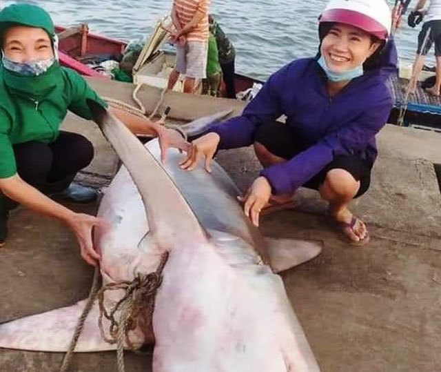 Ngư dân bắt được cá lạ giống cá mập, bán 18 triệu đồng
