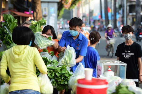 Chuyển cây bắp cải 1.800km, biếu người không quen, mời lấy nhiều hơn