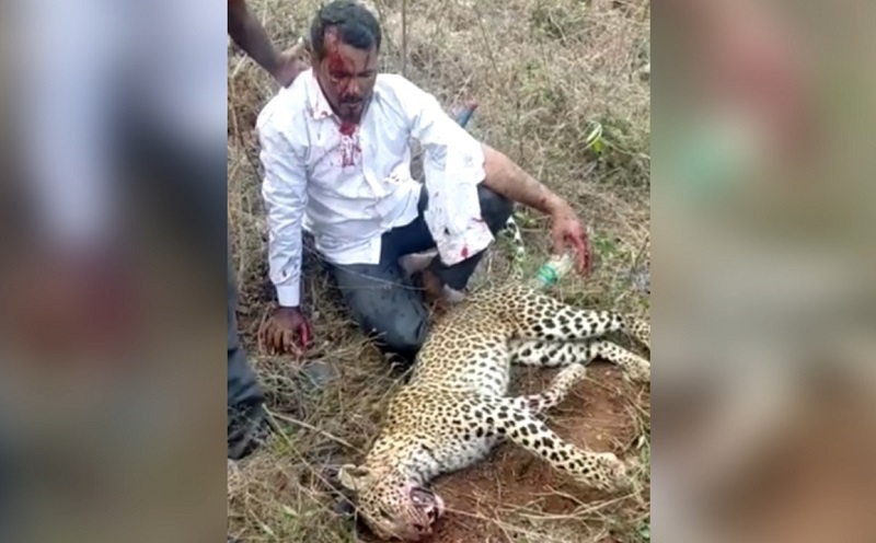 Tay không giết báo hoang cứu vợ và con gái