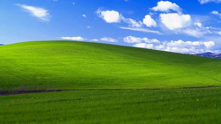 Hình nền huyền thoại Windows XP một thời 20 năm trước được trả hơn 100000  USD nay vẫn xanh tốt như ngày nào