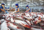 Hundreds of Vietnamese seafood firms permitted to export to Taiwan