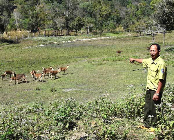 Former hunters use their skills to protect the forest