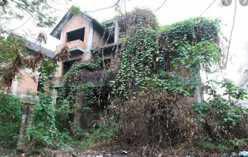 Multi-billion VND villas left unused in forest