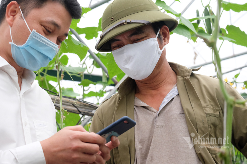 Lên sàn giải cứu, đưa nông sản đến tận tay người mua