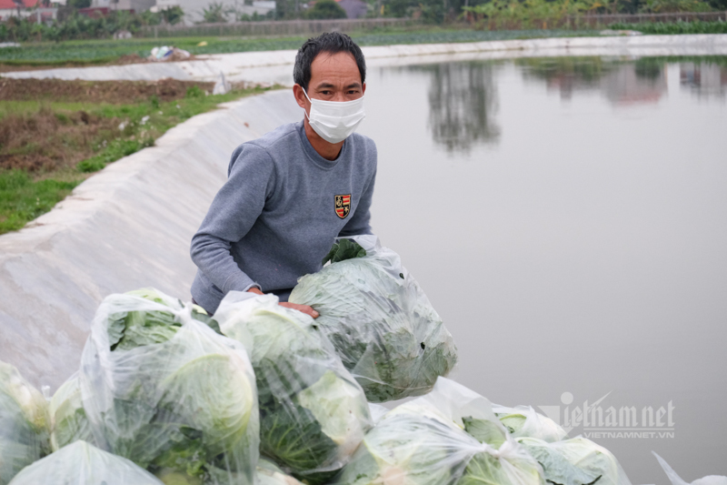 Lên sàn giải cứu, đưa nông sản đến tận tay người mua