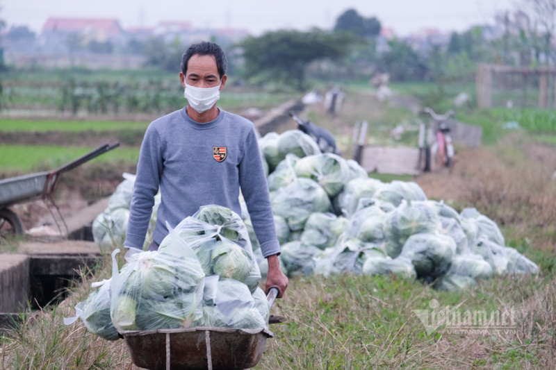 Lên sàn giải cứu, đưa nông sản đến tận tay người mua