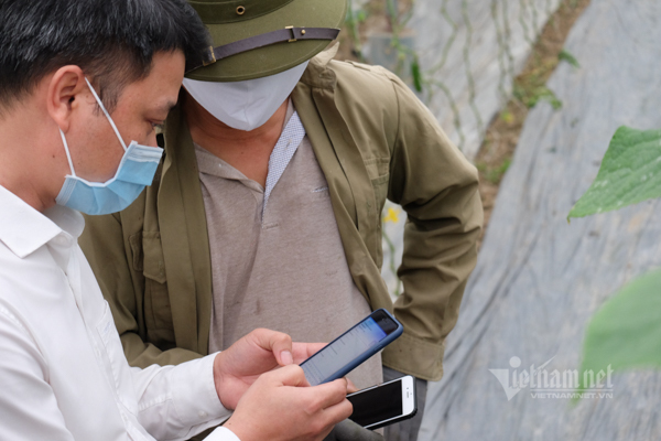 Giúp nông sản thoát cảnh “giải cứu” ở vỉa hè