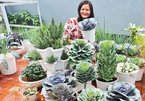 8X Bình Dương dùng nước vo gạo, mắt quả dứa trồng đủ giống rau lạ