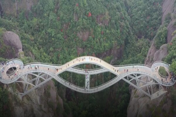 Chiêm ngưỡng cây cầu 