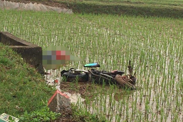 Lao xuống ruộng lúa, thanh niên tử vong cạnh xe máy ở Hà Nội