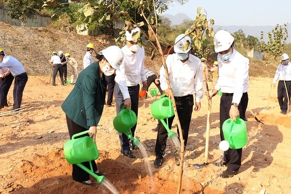 Khởi động chiến dịch trồng 1 triệu cây xanh ở Lai Châu