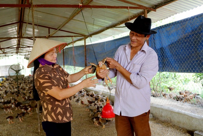 Phú Thọ vận động người dân đảm bảo vệ sinh trong chăn nuôi gia cầm